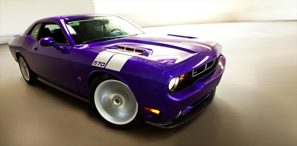 Induction Hood, Dual Side with Mesh, 08-23 R/T, SRT, S570